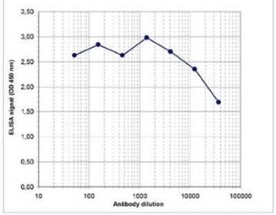 ELISA: Histone H3 [Methyl Lys9] Antibody [NBP2-59156] - To determine the titer, an ELISA was performed using a serial dilution of the antibody directed against H3K9me1. The antigen used was a peptide containing the histone modification of interest. By plotting the absorbance against the antibody dilution, the titer of the antibody was estimated to be 1:50,000.